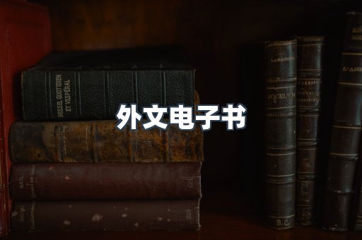外文电子书
